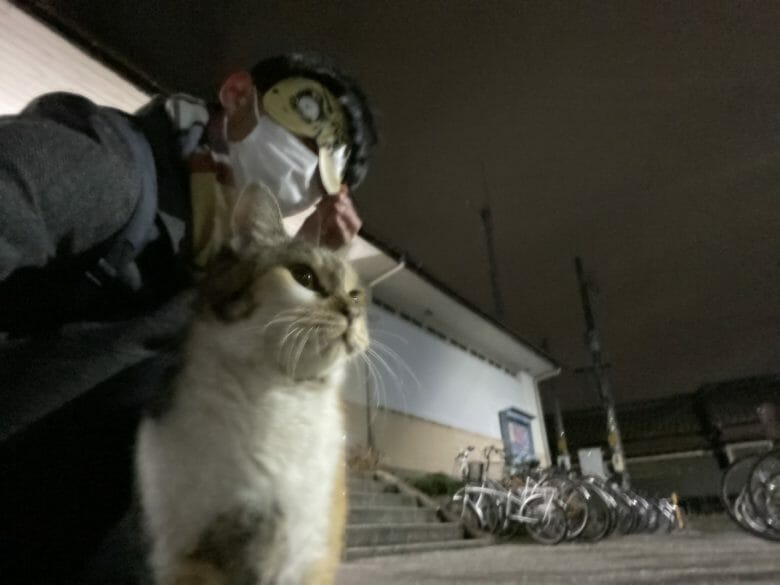 富田浜駅の猫ちゃん